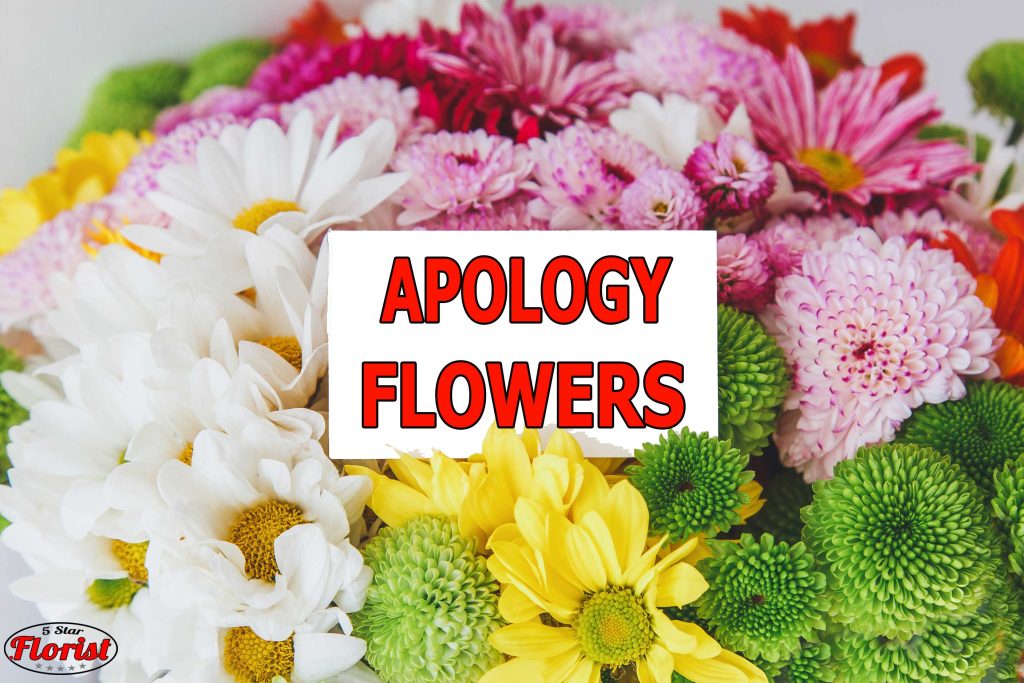 apology flowers Canton