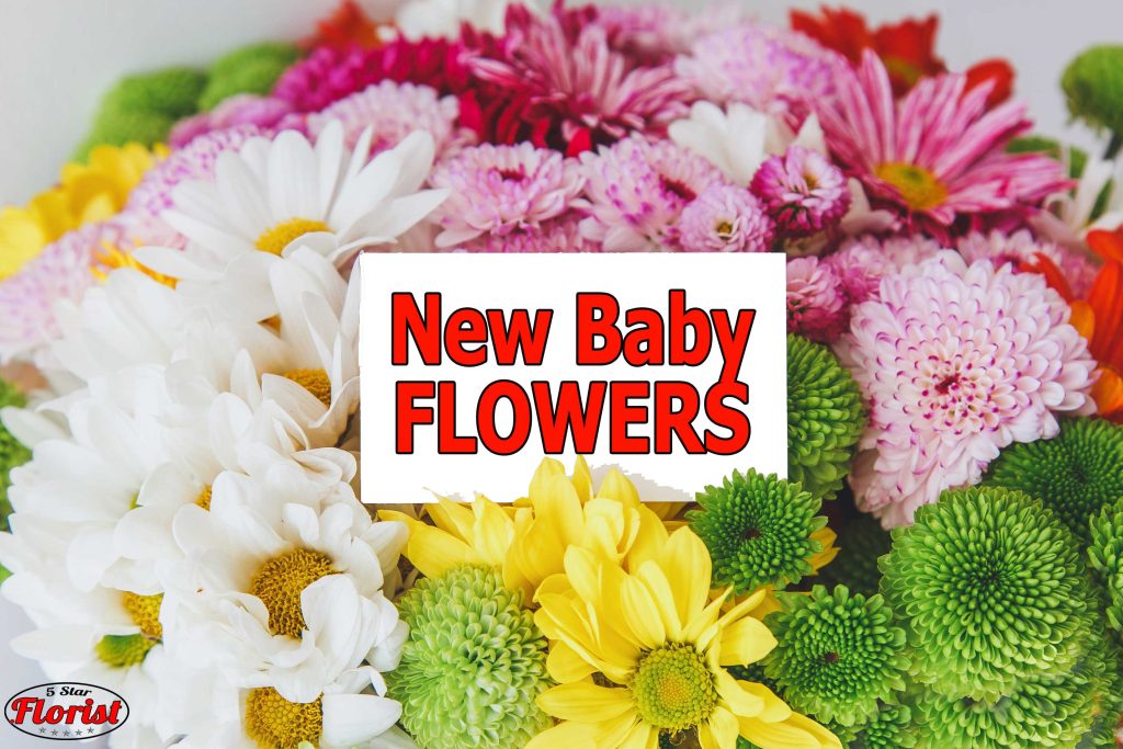 new baby flowers Canton